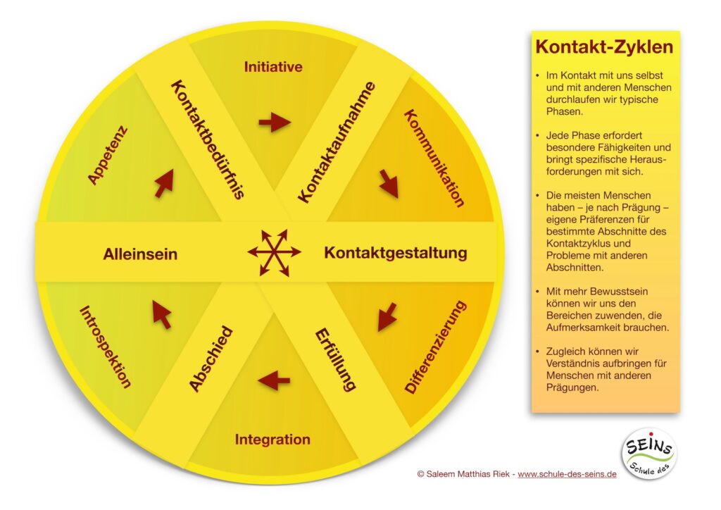 Der Kontaktzyklus